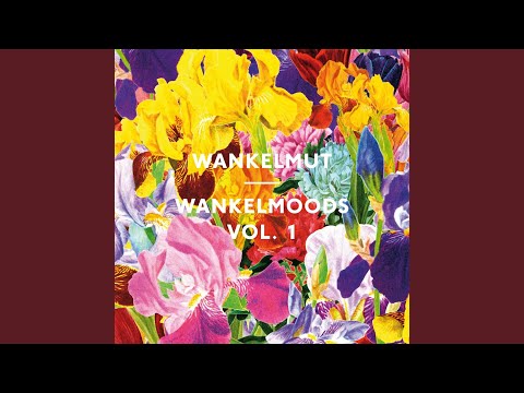 Asaf Avidan & The Mojos - One Day / Reckoning Song (Wankelmut Remix (Radio Edit))