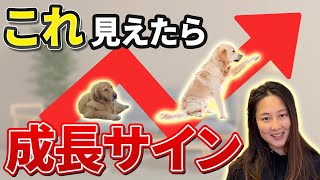 It's too early to give up!