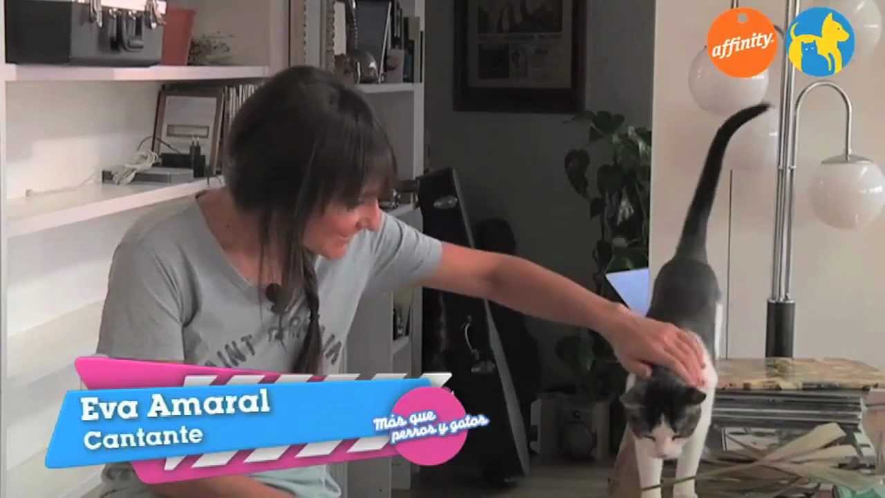 Conocemos a la mascota de... Amaral - Más que perros y gatos 4 | Fundación Affinity