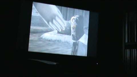 Fatal Frame II: Crimson Butterfly Blind Playthrough W/ Commentary pt 3: The Camera Obscura