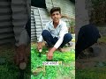 बुंदेली कॉमेडी बनाई Chai Chai Piya aane ke bahane karvaya Katiya #farming #automobile #funny 🤣☕☕😎