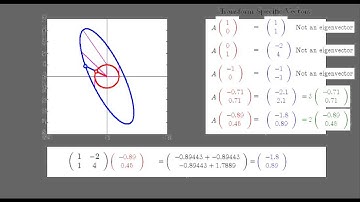 What is an Eigenvector? Eigenvalue? (with audio)