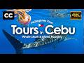 Whale Shark Encounter & Island Hopping in Cebu Ultimate Philippines Tour