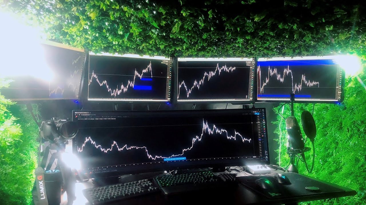 トレードルーム森にしてみた Youtube