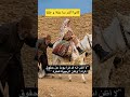 ناس زمان :  اكثر من خلق و عقل و إيمان
