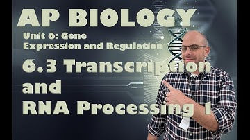 AP Biology - Unit 6 - 6.3 - Transcription and RNA Processing 1 #apbio #teacher