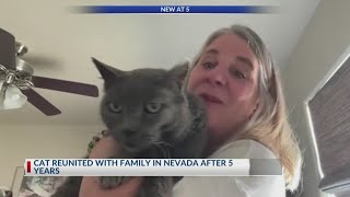 Nevada pet owners reunite with lost cat found in Arkansas after 5 years