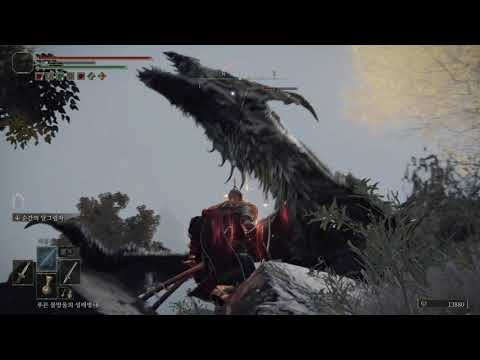 대노룡 그레이오르 정면돌파 - 엘든 링 / Elder Dragon Greyoll - Elden Ring