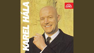 Vypalte salvu