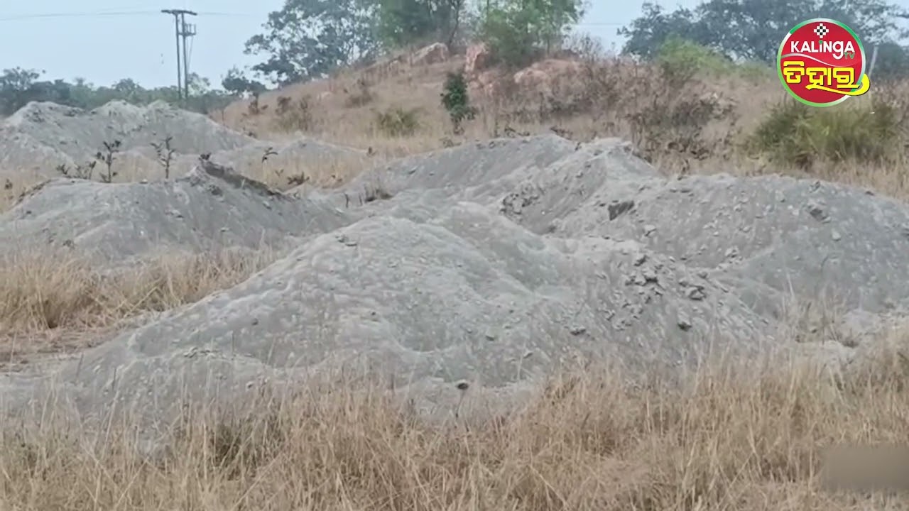 ସୁନ୍ଦରଗଡ଼ନେ ତୁପି ଦେଉଛନ୍ ଫ୍ଲାଇଆସ l ଚିନ୍ତାନେ ଅଛନ ଗାଁର ଚାଷୀ କୁଲ ll TIHAR KALINGA