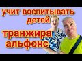 Пиратская жизнь Нина и Вовчик - учит воспитывать детей / альфонс тратит деньги