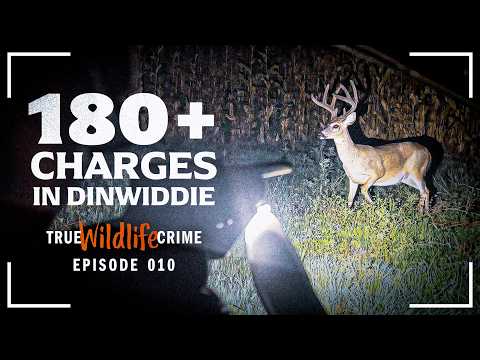 True Wildlife Crime: One Investigation, 180 Charges
