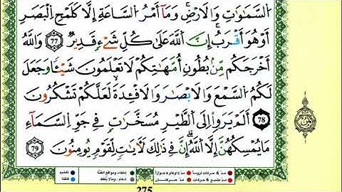 الصفحة 275: سورة النحل من الآية :73-79