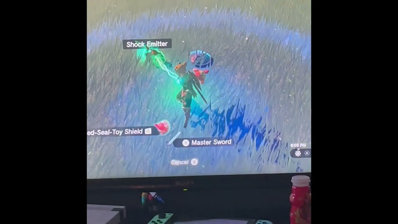 Cool FUSES in TOTK part 1