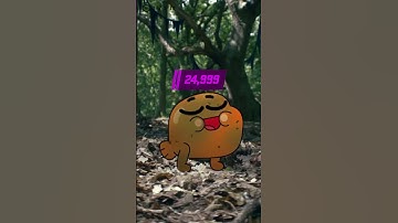 How it feels to climb CS2 Premier