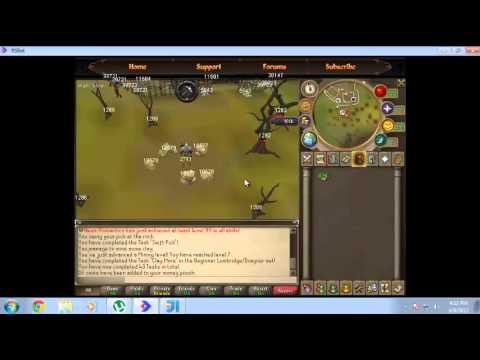 Powerbot Scripting Tutorial Part 3 - Getting IDs