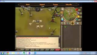 Famous Powerbot Scripting Tutorial Part 3 - Getting IDs Wealth