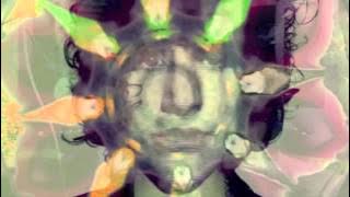 Temples - Shelter Song