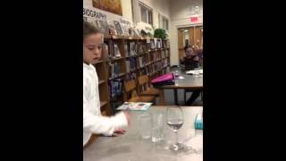 Totten Sound Inquiry