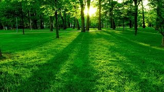 Nicolai Heidlas Music - On And On / No copyright Free Background Music for YouTube Videos