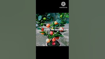 Guava with Apple: A Fruitful Duo for Growth!