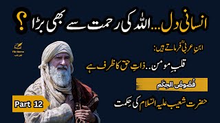 Fusus al-Hikam Part 12: Why Your Heart is Greater Than God's Own Mercy | Ibn e Arabi | Fikr Nama