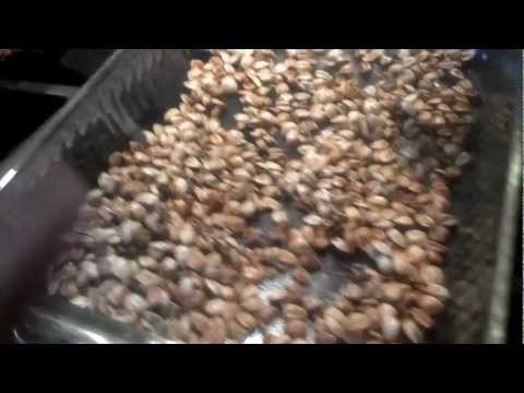 Roasting Sunflower Seeds-11-08-2015