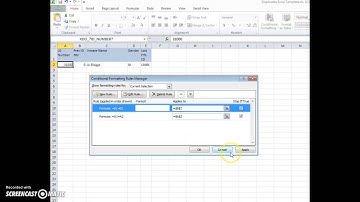 Hiding Excel Duplicates