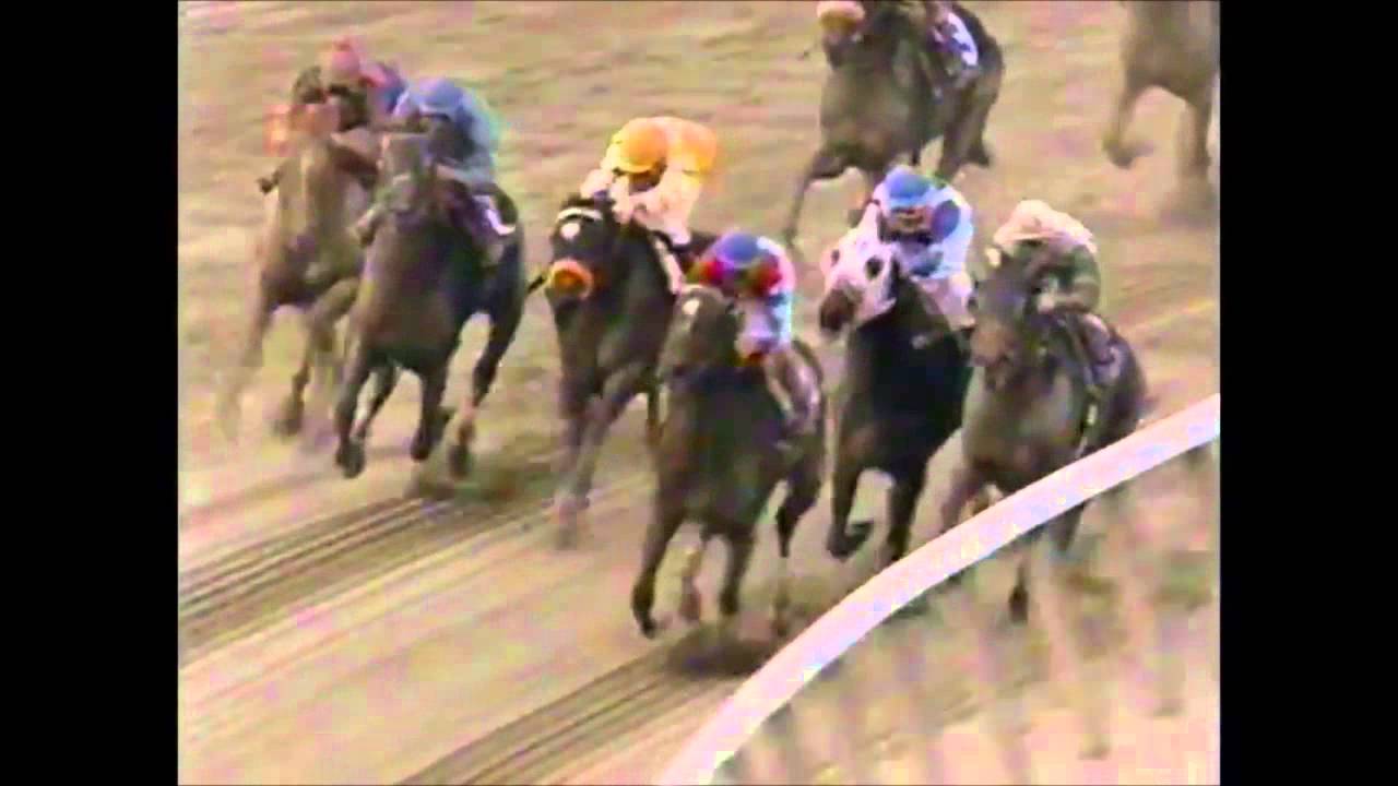 Great Champions,  famous Thoroughbred racehorses