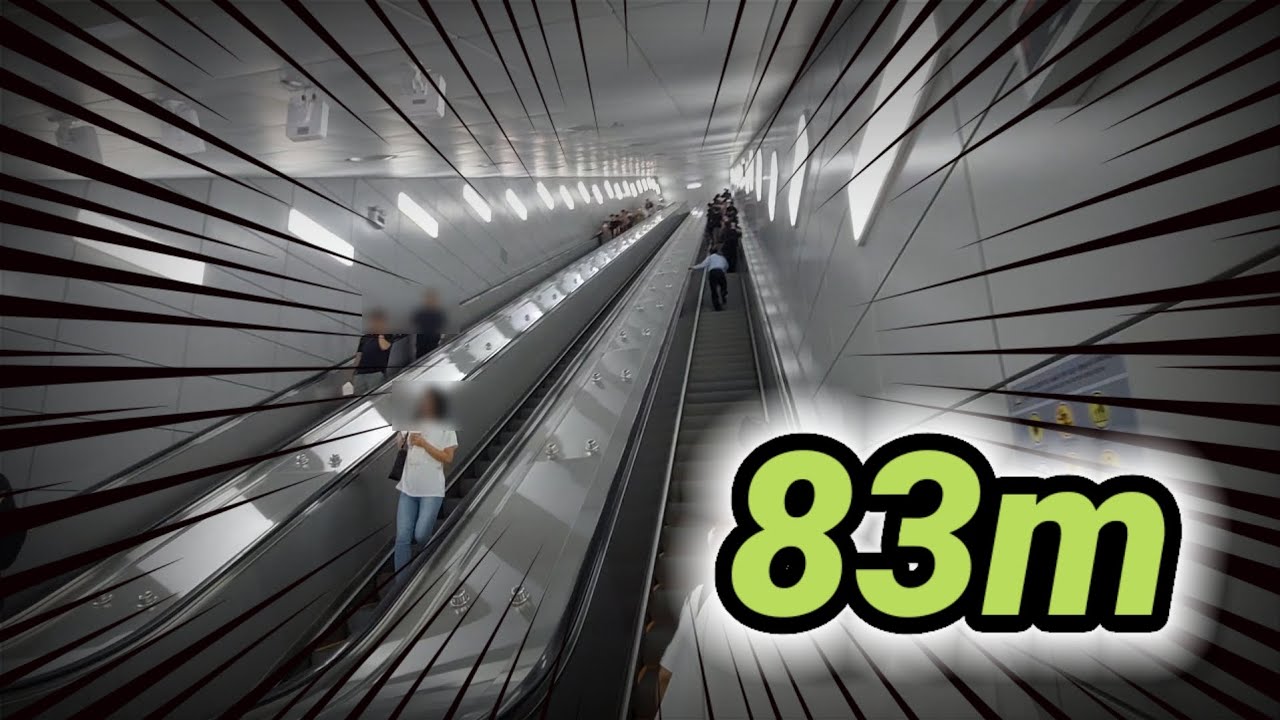 [초막장환승] 김포공항역 서해선 대곡 방면에서 5호선 하남검단산, 마천 방면으로 10분 이내 재승차 X 오직 승강장으로만 환승하는 영상