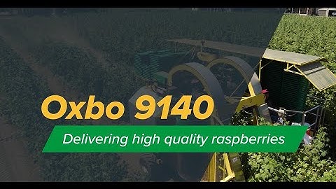 Oxbo 9140 Raspberry Harvester