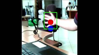3DOF Agile eye tracking example 1