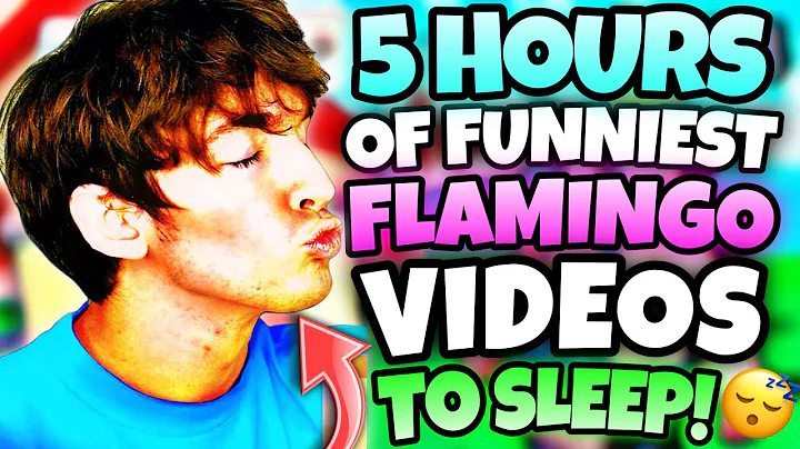 *5 HOURS* OF “FUNNIEST” FLAMINGO TO FALL ASLEEP!