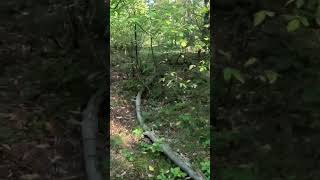 Mitten durchs NVA-Gelände – und Komoot meint, das ist ein Wanderweg 😅