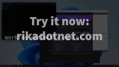 Testing .NET Code Virtualization Compatibility: RikaDotNet vs VMProtect
