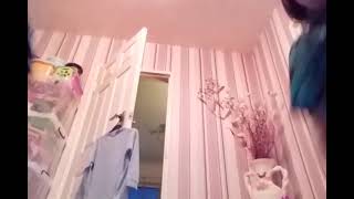 Bluey And Bigo Episode