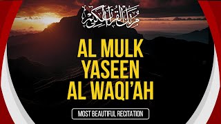 MUROTTAL QURAN PAGI : Surat Al Mulk, Surat Yasin dan Surat Al Waqiah - Full HD