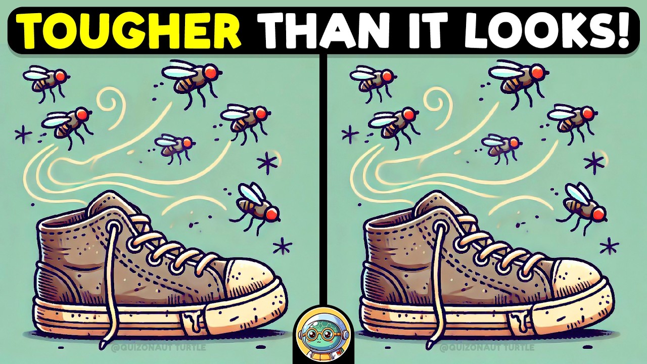 🐢🧩 Find The Difference | Expert Challenge Edition 🧩🐢 | Quizonaut Turtle