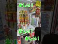 雪崩が起きた！妙にクレーンゲームに自信のあるらんちゃんがお店を大赤字にしてみた#shorts