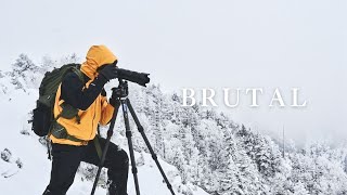 【風景写真】北信州・猛吹雪の中に生きる美しい木々たち｜Landscape photography  in the brutal condition Japan