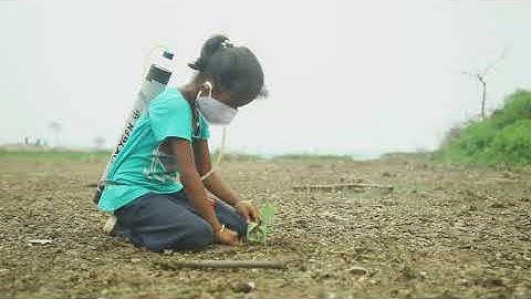 my spark Ott project O2