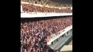 Ku hanya cinta Mataram