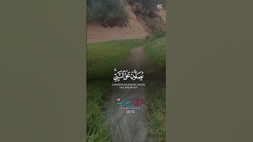 تلاوة خاشعة 😌قرآن كريم 🥰#تيك_توك... (  orani31a   )