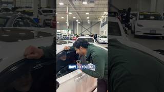 How Do You Take Your Civics? 🚗 #autoplanet #honda #civic #hondacivic #civicsi