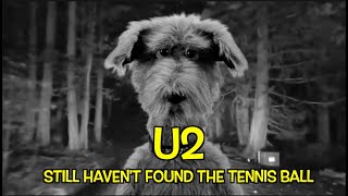Download Lagu U2 - STILL HAVEN'T FOUND THE TENNIS BALL !!!!! MP3
