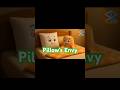 Pillow’s envy #funnyshorts #funnyjokes #englishjokes #englishfunny #funnyshorts #englishlearning