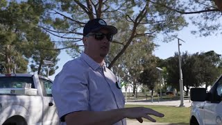 Mosquito and Vector Control Districts starting work to keep flying pests at bay
