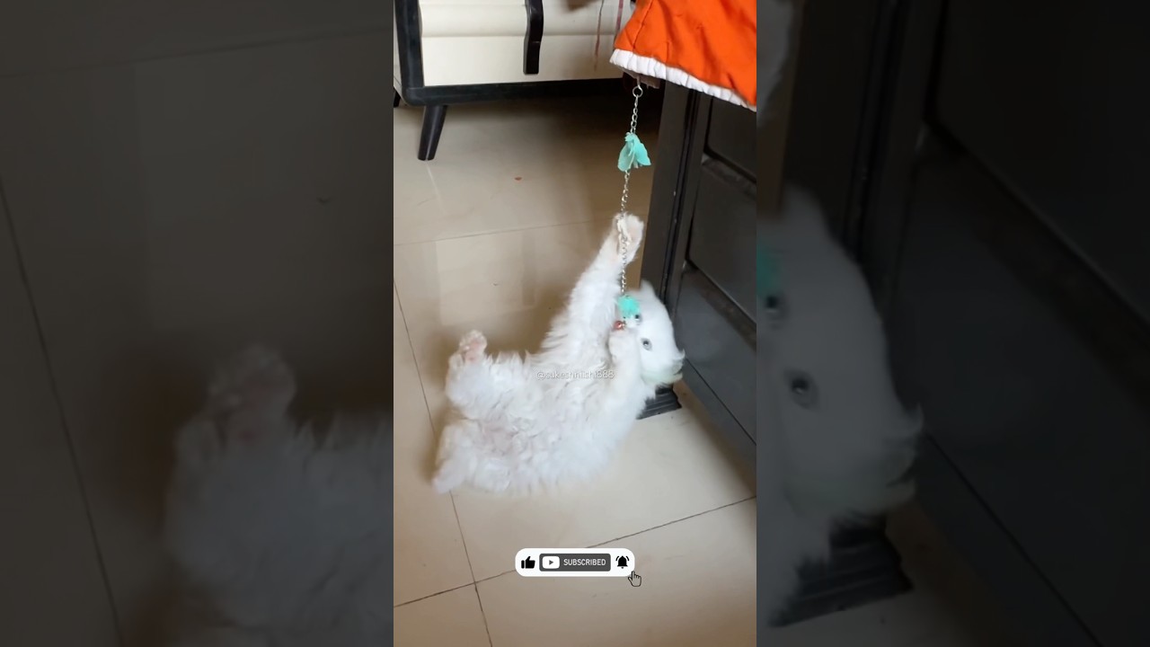 Kya hi bolu 😂🤣 | 