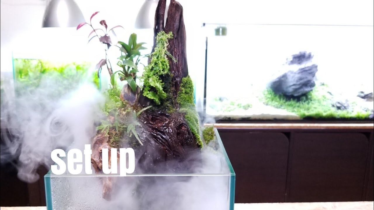 How To Make Aquaterrarium With Forest Of A Nausicaa ナウシカの腐海をテラリウムで表現 Youtube How To Make Aquaterrarium With Forest Of A Nausicaa ナウシカの腐海をテラリウムで表現 Youtube