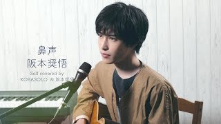 Video thumbnail of "鼻声/阪本奨悟(Self covered by コバソロ & 阪本奨悟)"